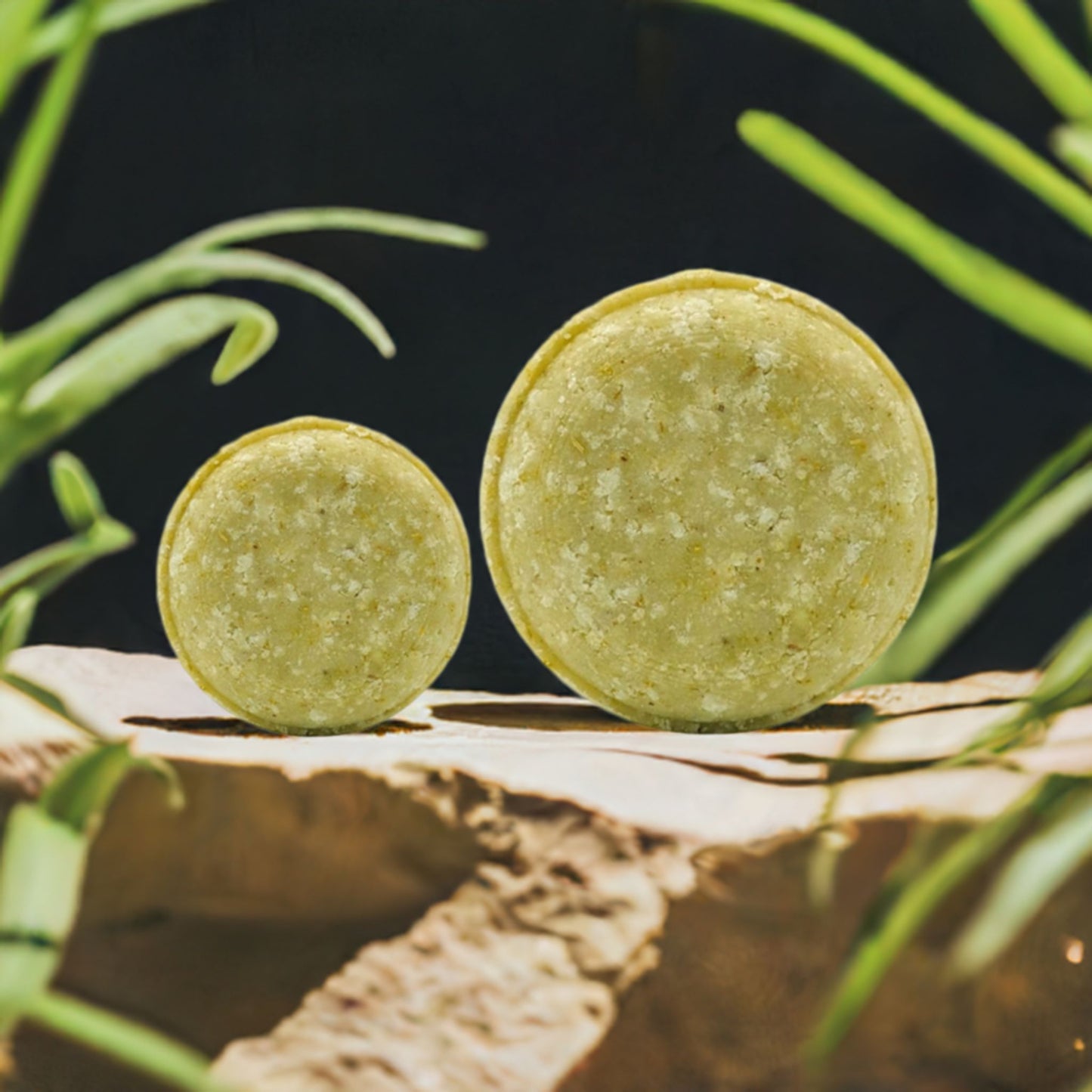Herbal Boost - Conditioning Shampoo Bar