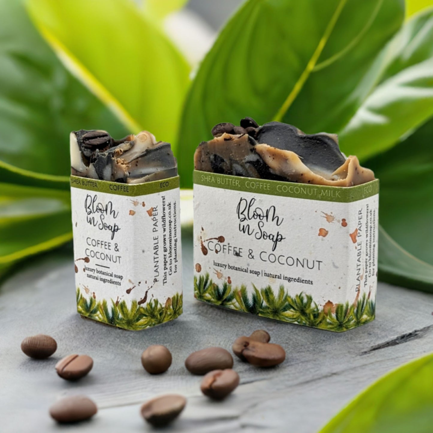 Coffee & Coconut Unscented Soap