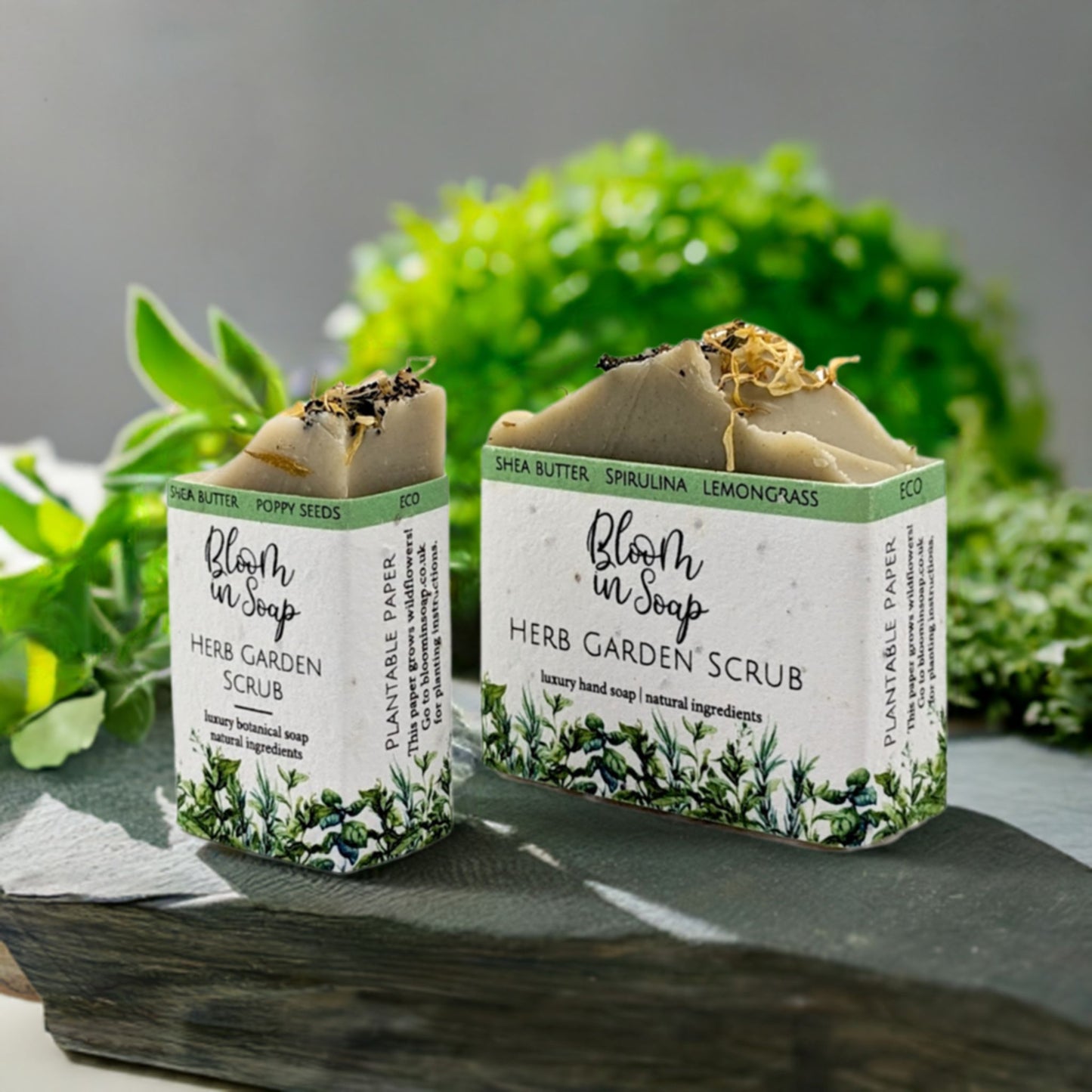 Herb Garden Scrub Shea Butter Soap