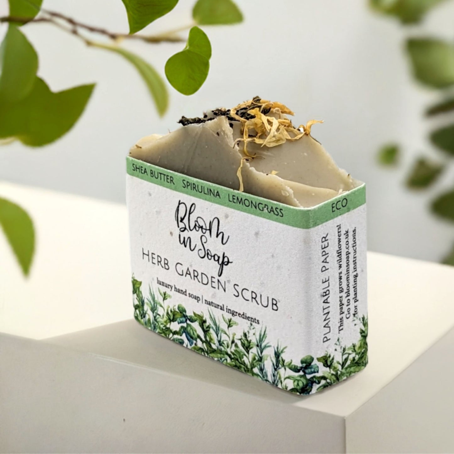 Herb Garden Scrub Shea Butter Soap