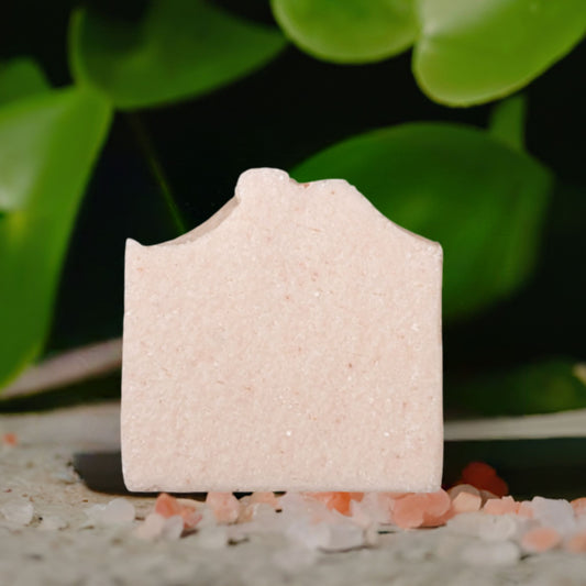 Himalayan Spa Salt Bars - Unscented Soap