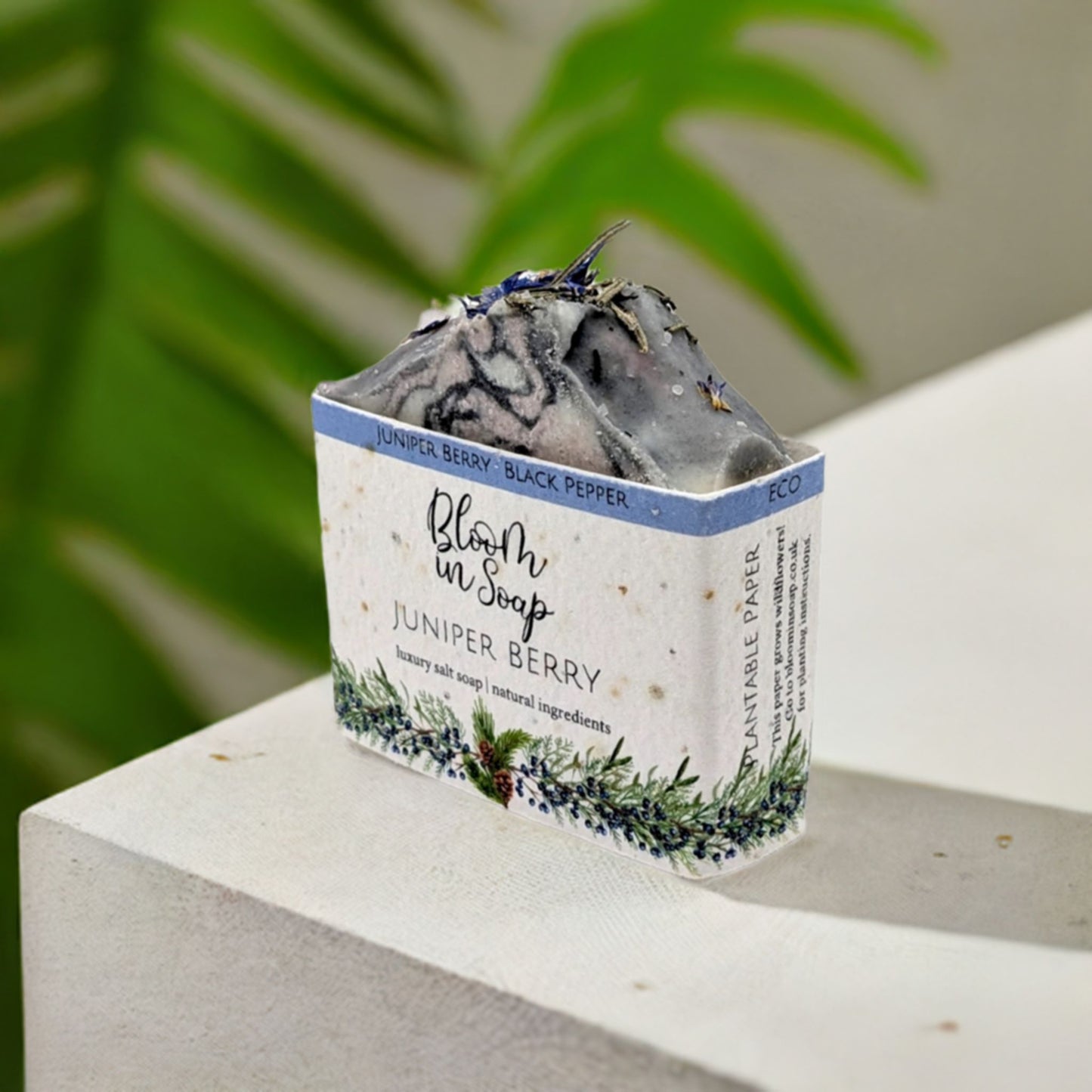 Juniper Berry Salt Bars