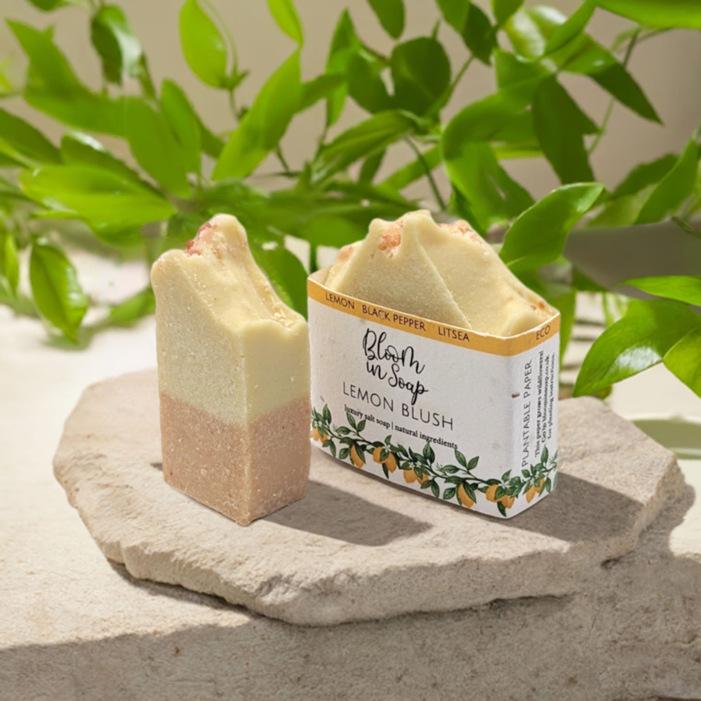 Lemon Blush Salt Bars