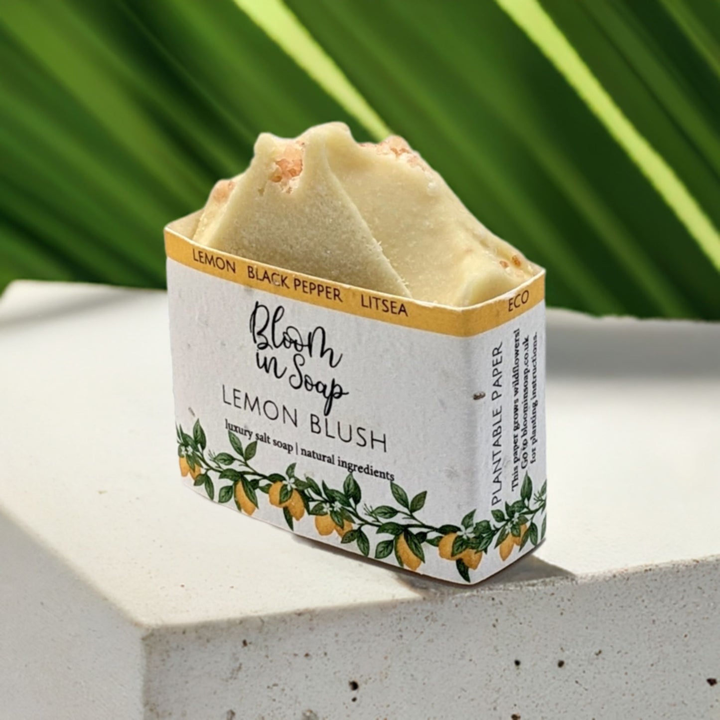 Lemon Blush Salt Bars