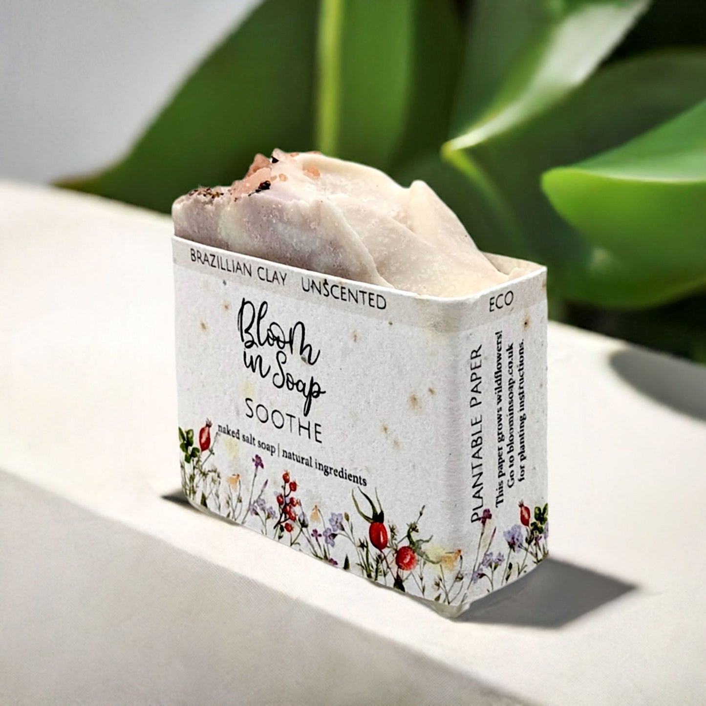 Soothe Salt Bars - Unscented Soap