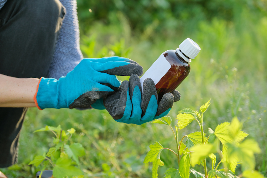 woman reading the ingredients list on a bottle of pesticide