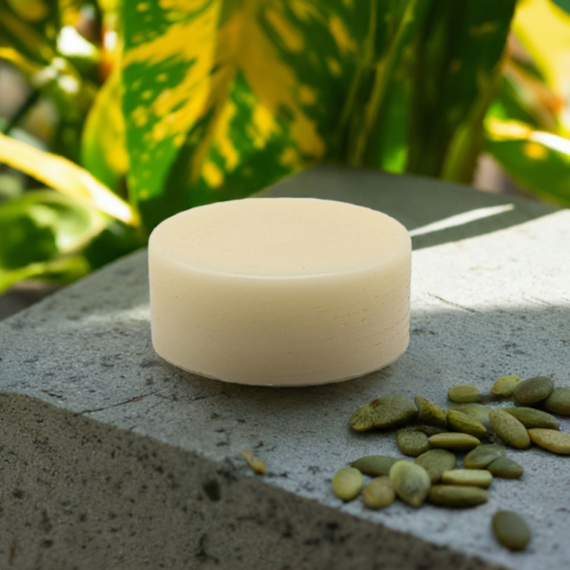 Herbal Boost - Hair Conditioner Bars
