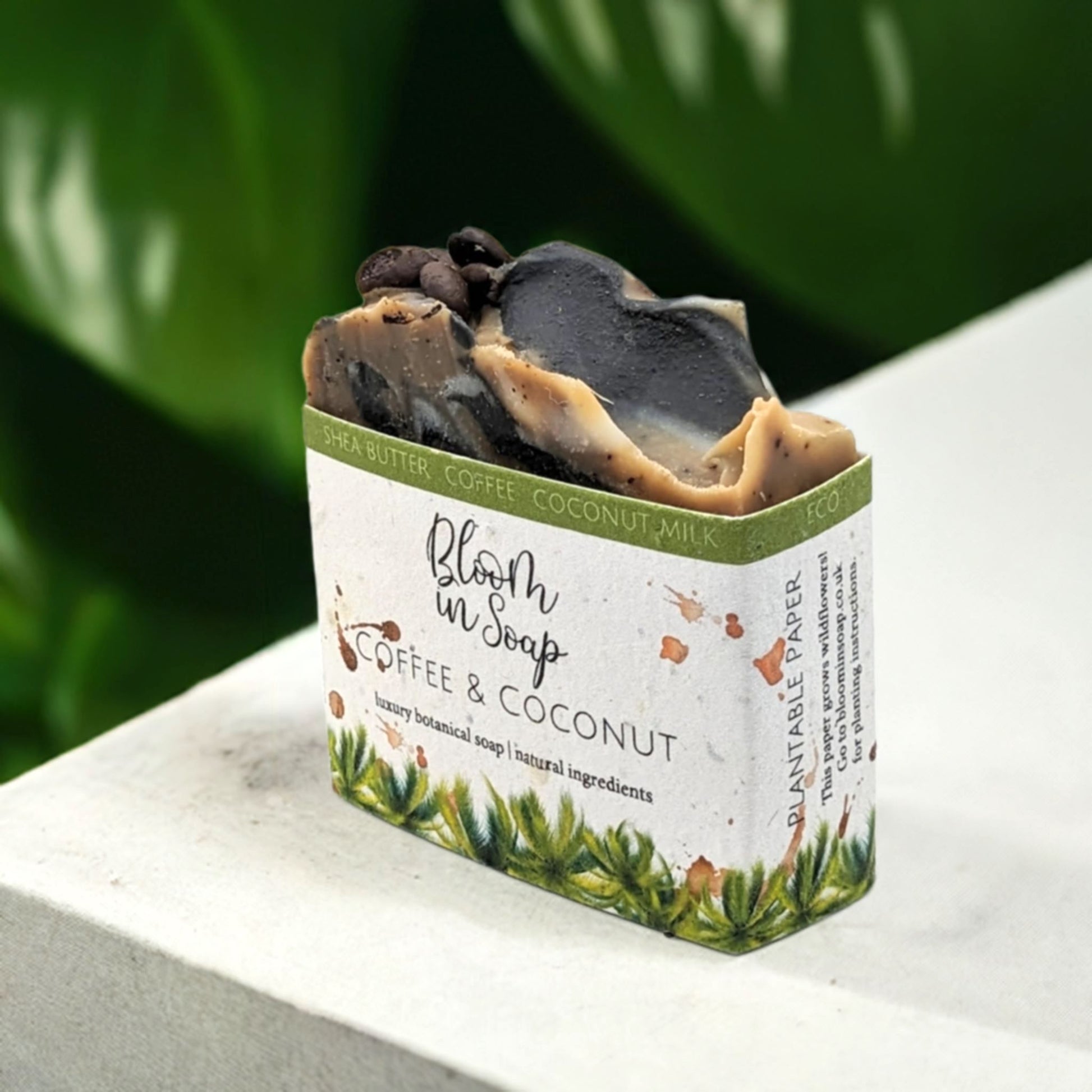 Coffee & Coconut Unscented Soap
