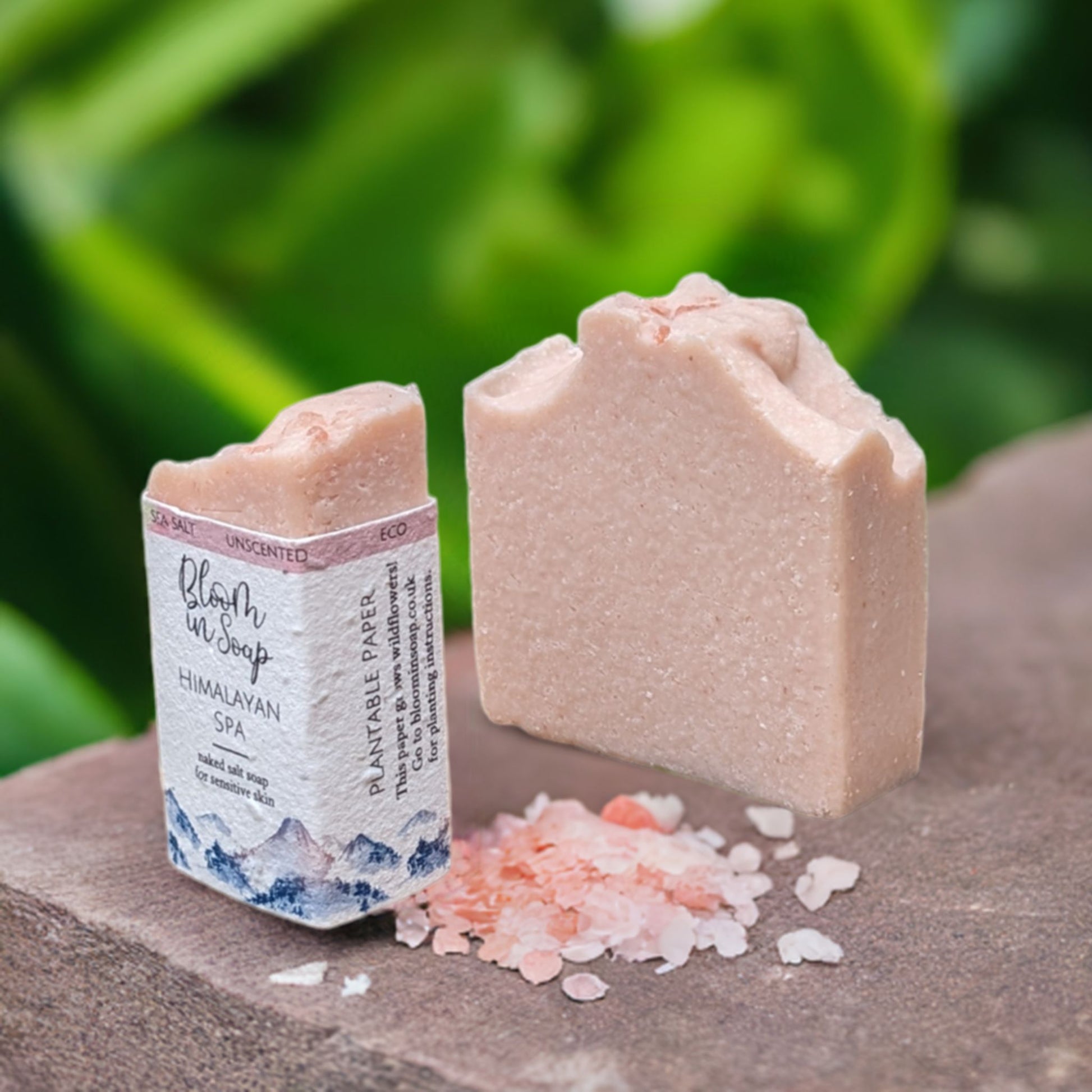 Himalayan Spa Salt Bars - Unscented Soap
