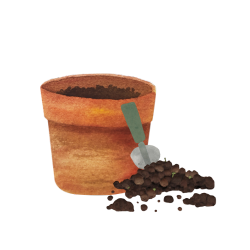 Plant pot with compost