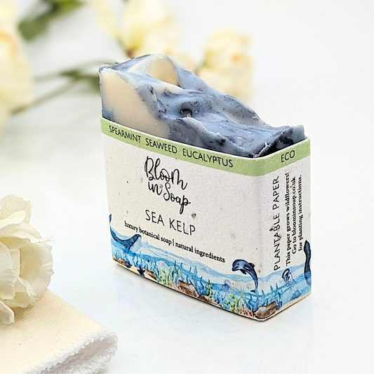 Sea Kelp soap bar from Bloom In Soap
