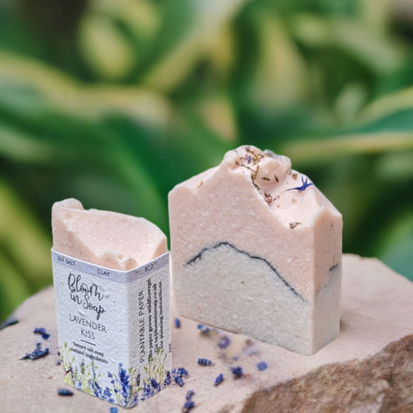 Lavender Kiss Salt Bars
