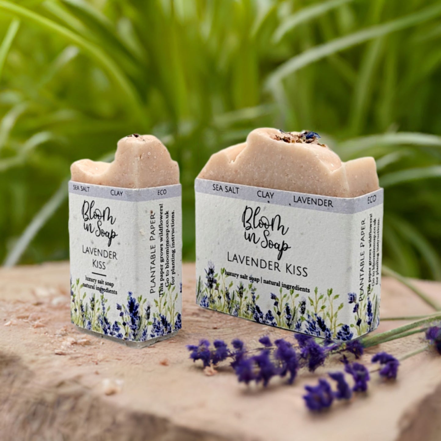 Lavender Kiss Salt Bars