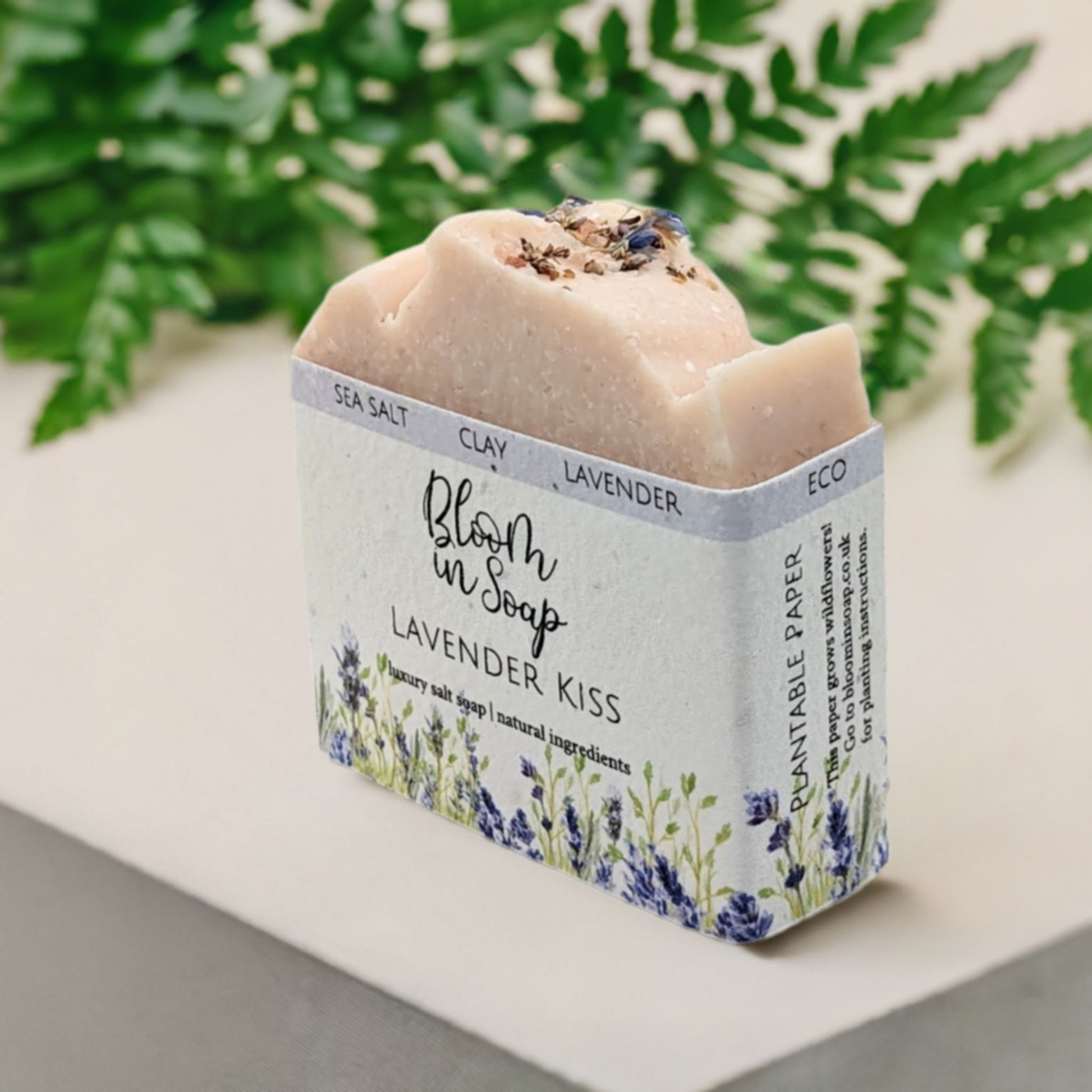 Lavender Kiss Salt Bars