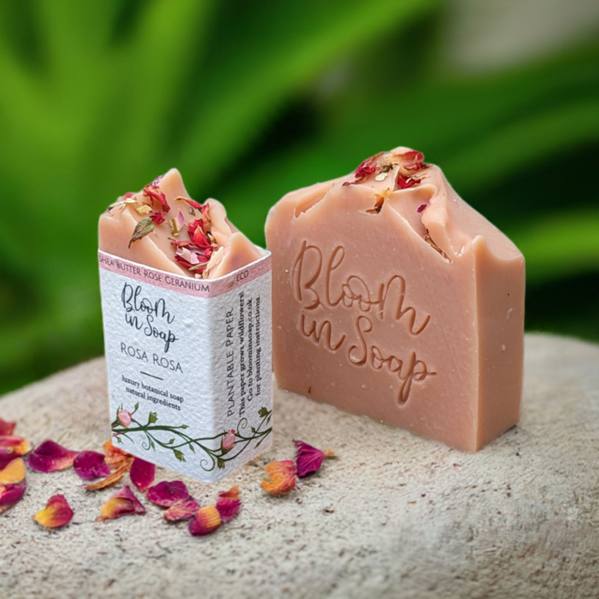 Rosa Rosa Shea Butter Soap