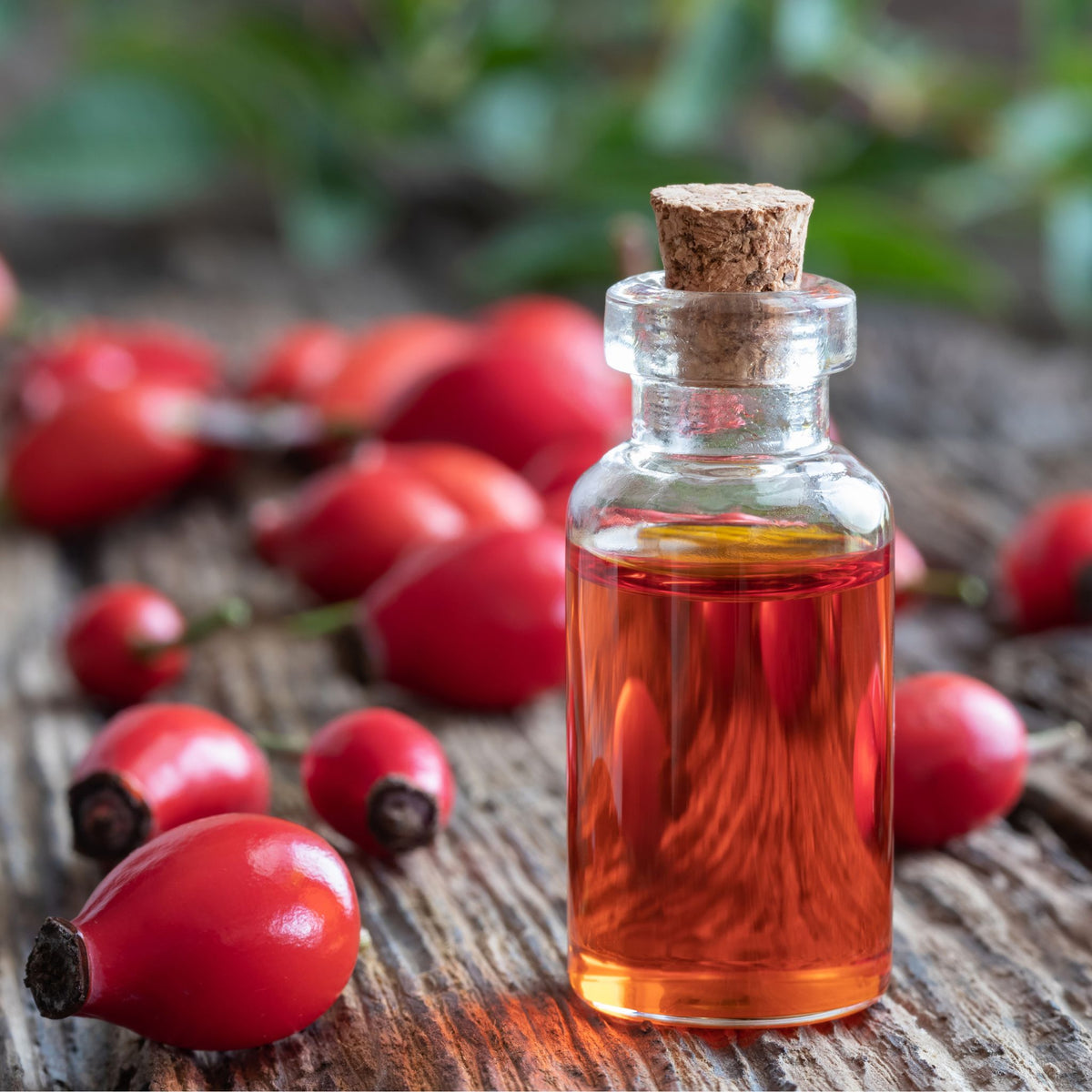 A small clear glass bottle with a cork stopper filled with rosehip seed oil placed on a rustic wooden surface with red rose hips scattered around it and blurred green foliage in the background.