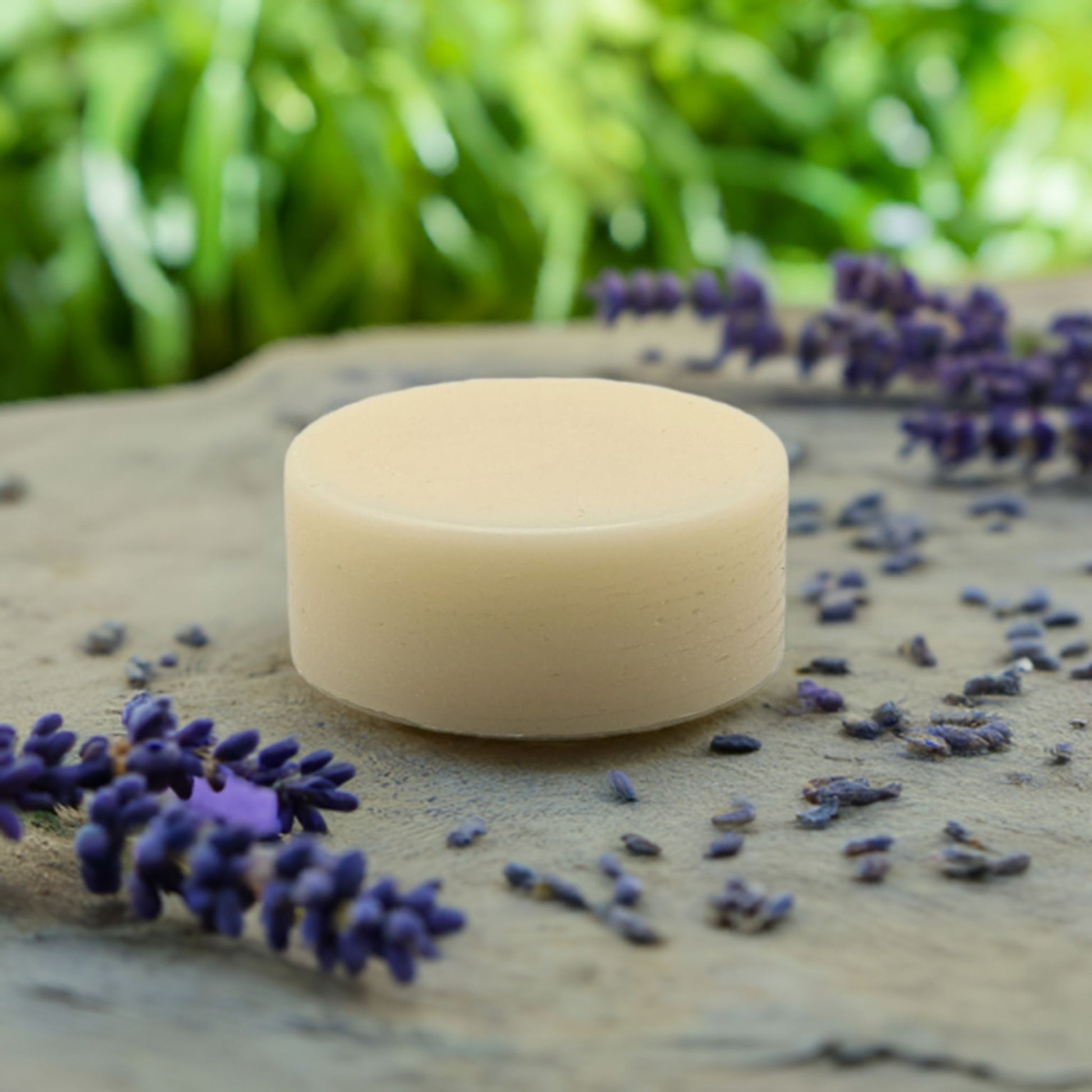 Coconut Curls - Hair Conditioner Bars