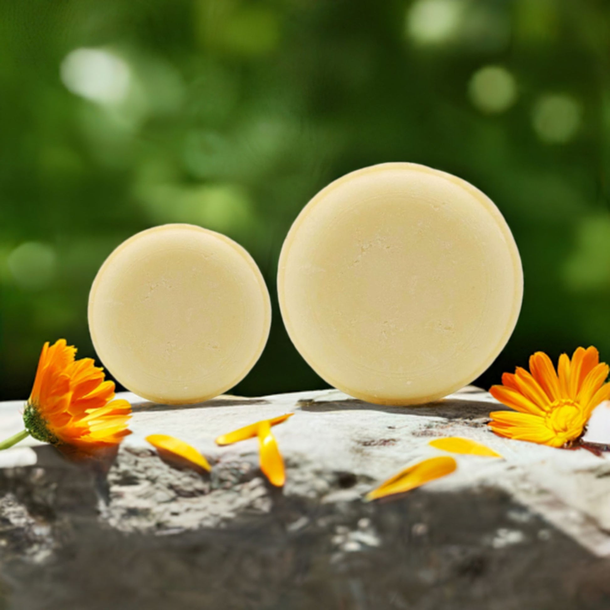 Delicate Flower - Fragrance Free Conditioning Shampoo Bar